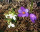 Маріанна Ковач фотография #3 (источник - https://vk.com/id44648385)