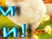 Миша Чердаков фотография #34 (источник - https://vk.com/id37705669)