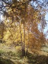 Фотография Марат Ходжабаев