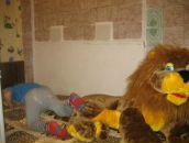 Ніна Климчук фотография #7 (источник - https://vk.com/id75596240)