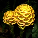 Фотография Паниной Евгении