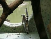 Андрій Горінець фотография #20 (источник - https://vk.com/id30203235)