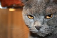 Фотография Пожиловой Татьяны