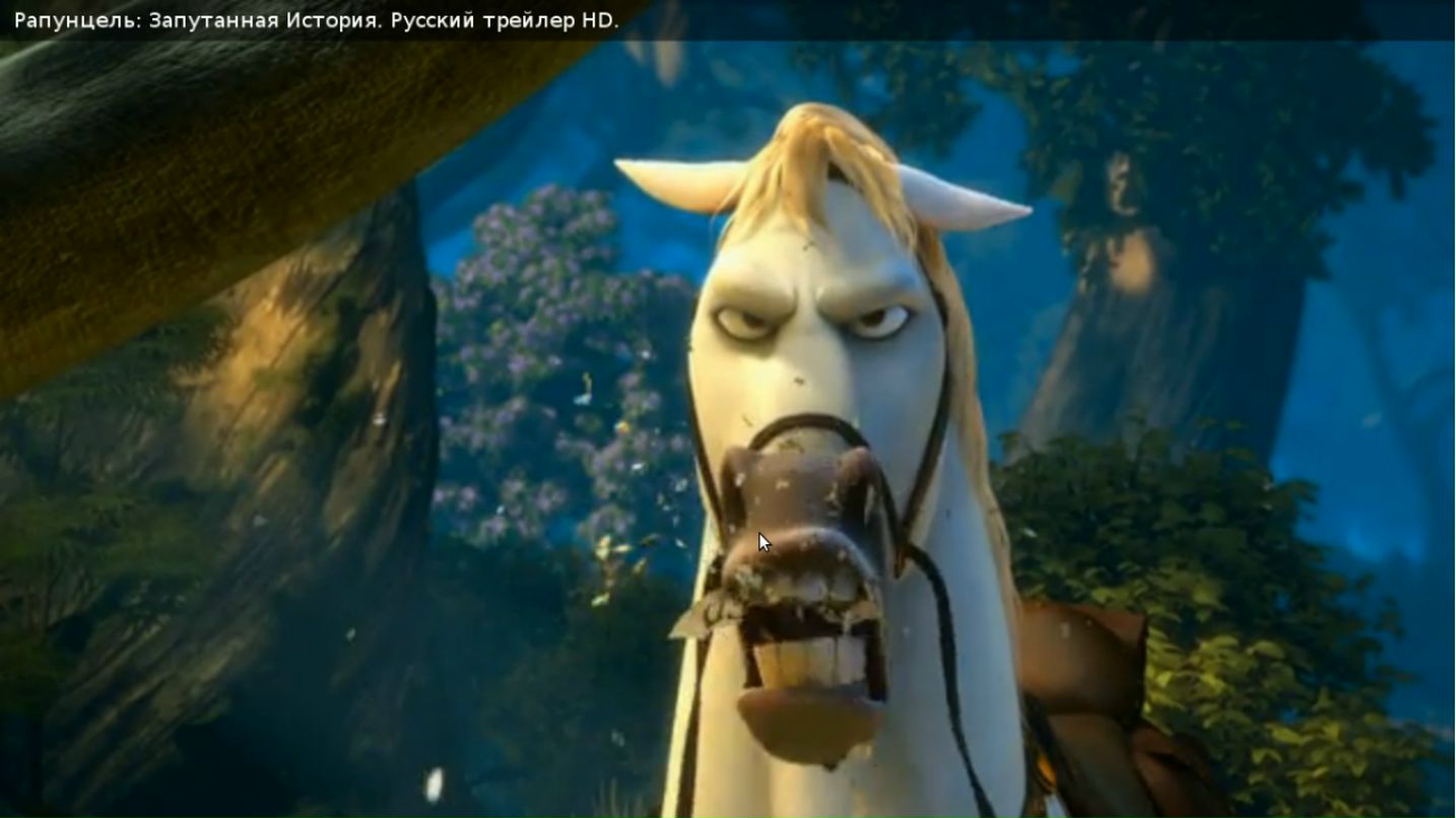 Антон Петров фотография #3