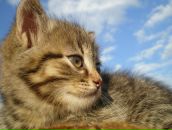 Фотография Чупиной Анастасии