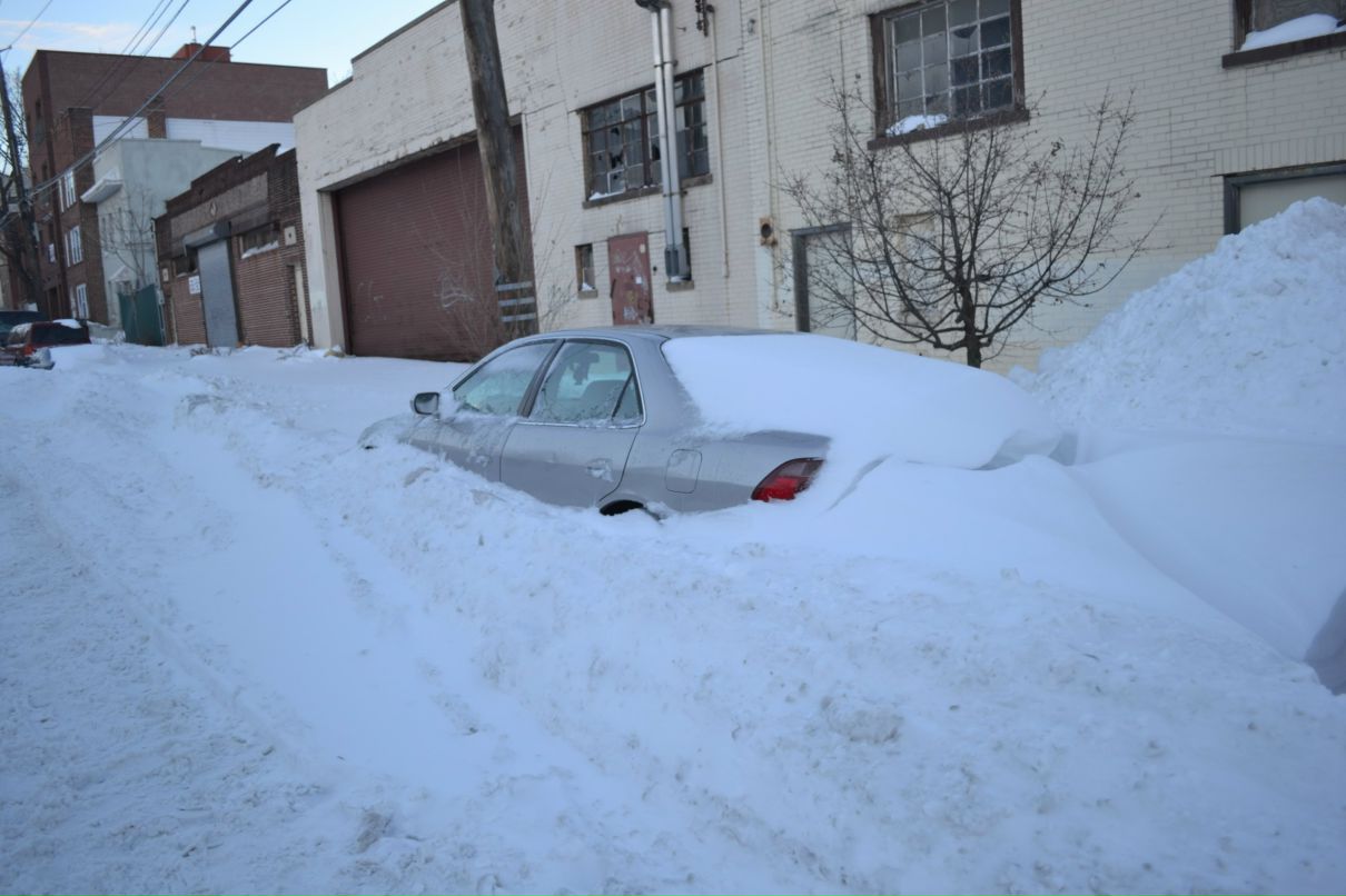 Olya Shepel фотография #49