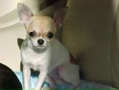 Фотография Барольской Марии