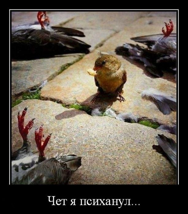 Дмитрий Антоненко фотография #10