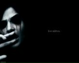 Фотография Лазарева Алена