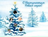 Фотография Сошневой Александры