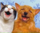 Фотография Куприяновского Романа