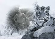 Станіслав Скитецький фотография #26 (источник - https://vk.com/id75849513)