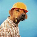 Андрій Семенюк фотография #36 (источник - https://vk.com/id81610982)