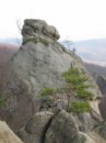 Світлана Вуйцик фотография #20 (источник - https://vk.com/id31082018)