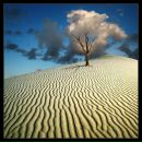 Фотография Карташовой Ольги