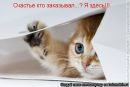 Іра Мічак фотография #8 (источник - https://vk.com/id141411863)