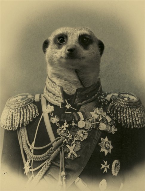 Artur Karataev фотография #21