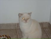 Софія Лицур фотография #44 (источник - https://vk.com/id39724621)