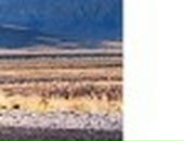 Уляна Гапук фотография #23 (источник - https://vk.com/id6604501)