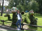 Фотография  