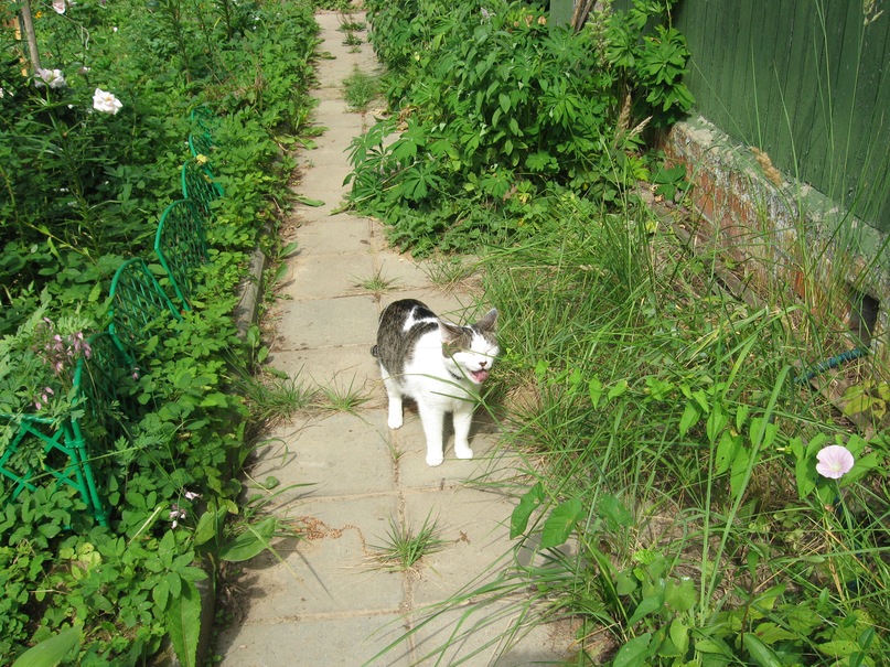 Наташа Дождёва фотография #21