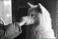 Фотография Замысловой Екатерины