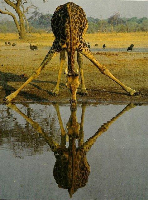 Александр Башков фотография #12