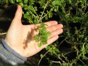 Фотография Липатовой Ирины