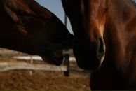 Фотография Герасимовой Ольги