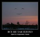 Фотография Медведевой Анны