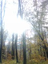 Вікуля Юрдига фотография #30 (источник - https://vk.com/id99743096)