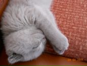 Фотография Савиной Анастасии