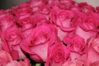 Фотография Кузнецов Виктор