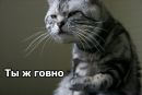 Troll Face фотография #11 (источник - https://vk.com/id164986601)