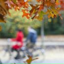 Зоряна Граніч фотография #4 (источник - https://vk.com/id102460606)