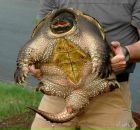 Фотография Сухина Дмитрия