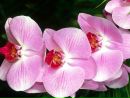 Фотография Гусевой Кати
