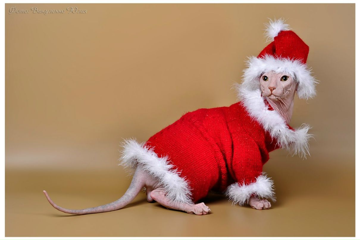 Зоя Плотникова фотография #45