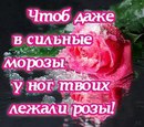 Анастасія Бойчук фотография #21 (источник - https://vk.com/id157550998)