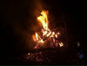 Фотография Мироновой-Смиренниковой Марины