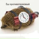 Фотография Громовчук Надежда