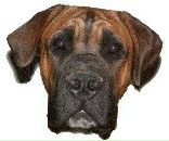 Фотография Горшкова Максима