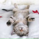 Аліна Мендрик фотография #5 (источник - https://vk.com/id170442383)