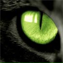 Фотография Лундин Дмитрий