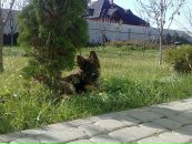 Кейт =) фотография #42 (источник - https://vk.com/id120276117)