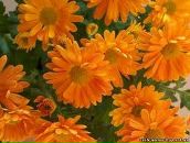 Саша Томашевській фотография #8 (источник - https://vk.com/id165356196)