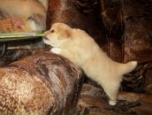 Фотография Торлоповой Людмилы