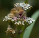 Фотография Бельнюшкин Дмитрий