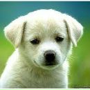 Яна Горелік фотография #47 (источник - https://vk.com/id150706808)