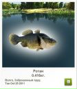 Макс Матвійчук фотография #29 (источник - https://vk.com/id133674320)